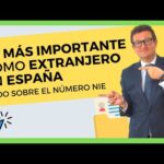 Guía completa: Qué hacer con NIE en España