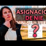 Todo sobre el NIE: Requisitos y beneficios en España